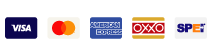 Logos de pago